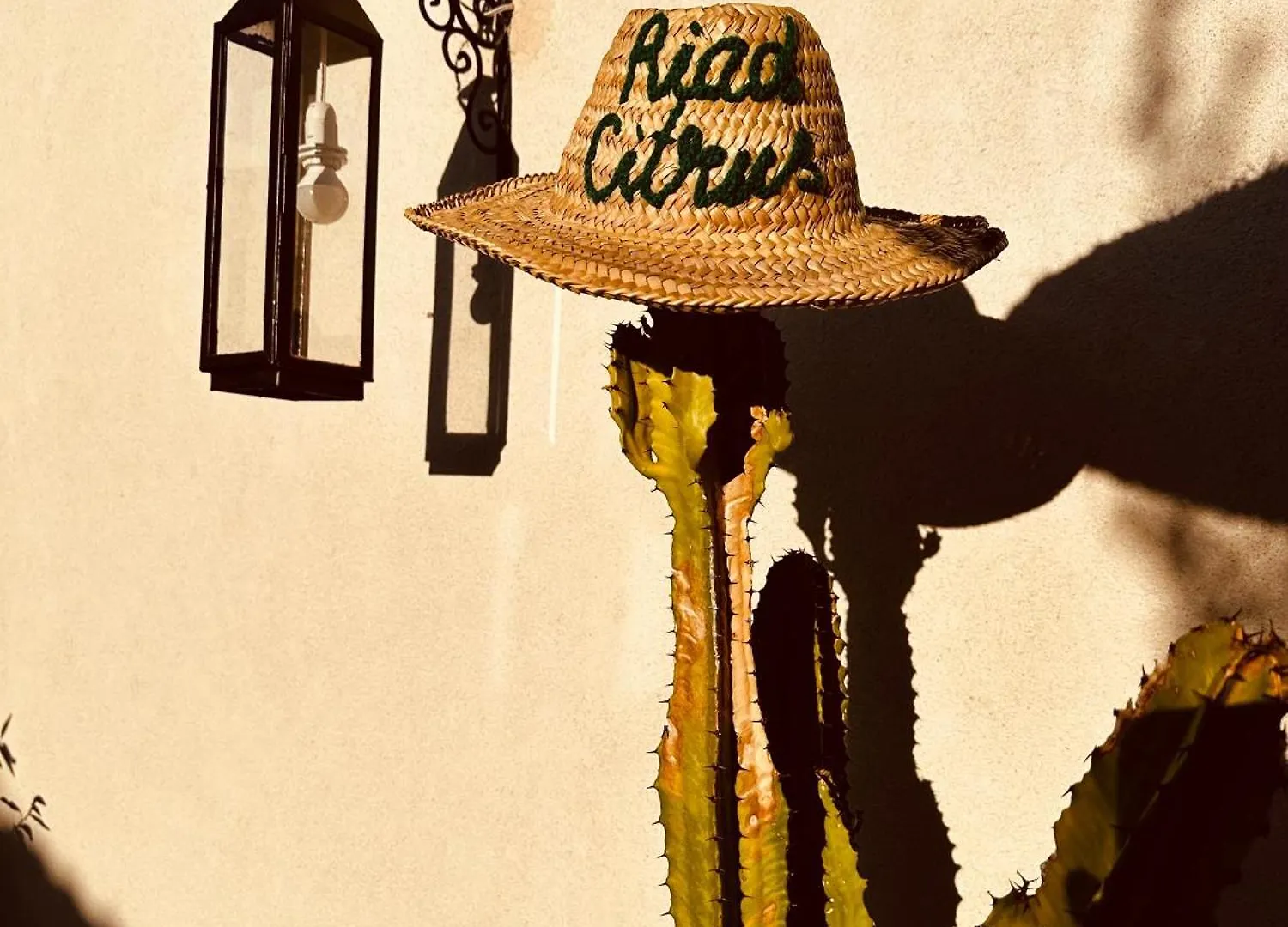 Riad Citrus By La Siredrah Marrakesh 0*,  Morocco